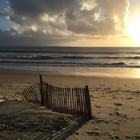 Newly renovated apartment/studio, garden level, quiet location, walking distance to beach and shops