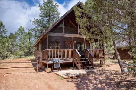 Cozy cabin w/ loft, private hot tub, near Bison Ranch, sleeps 6