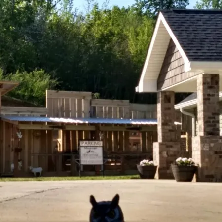 Mountain View Cottage