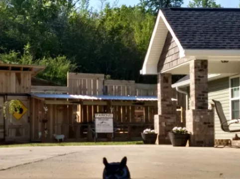 Mountain View Cottage