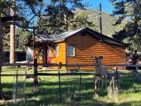 Perfect for Couples, Friends, & Small Families.  License #3051