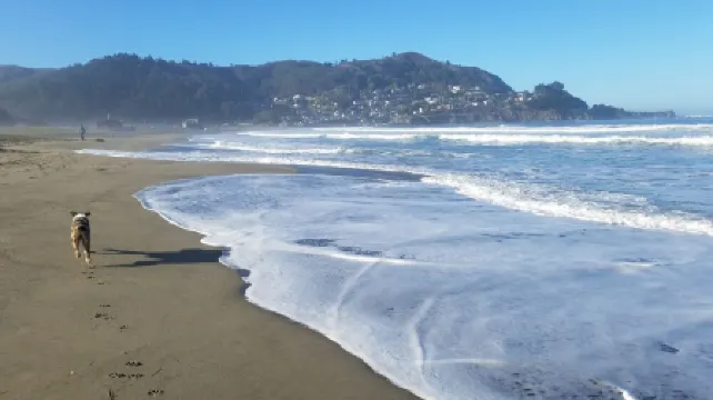 A Victorian Garden Retreat near beach, trails, SF, Silicon Valley- ldry +prkg