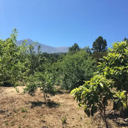 Finca la Chirita - For hikers, starry nights