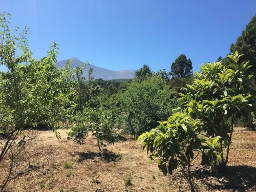 Finca la Chirita - For hikers, starry nights