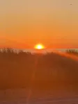 Beautiful sun filled 2 BR 3 blocks from beach- 2 beach passes- kids are free