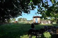 Autarker Schäferwagen mit Kamin Ganzjährig Nutzbar