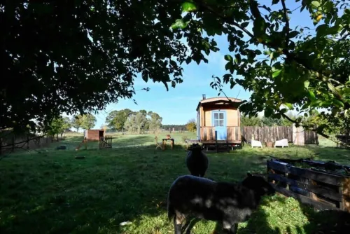 Autarker Schäferwagen mit Kamin Ganzjährig Nutzbar