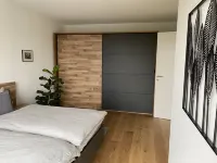 Modern city apartment Hotels in Neustadt