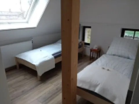 Baltic Sea wind at the edge of the forest