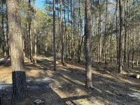 Beautiful cabin within two miles of Lake Martin
