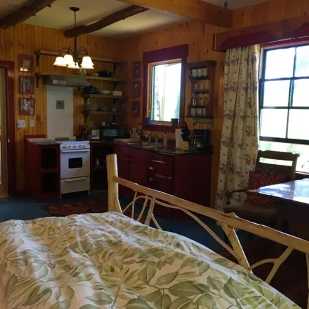 Camp Lillian Gorgeous New Cabin with Mountain Views Отели в г. Джонсберг