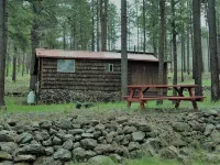 Quaint Cozy Cabin Near East Fork, Weekly and Monthly Rates, King Bed, Fireplace