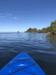 Kayak to the Gulf with Dolphins - Deep Water Canal Home - Wifi