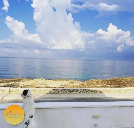 Loving Villa on the Mediterranean - Villa on the Sea Отели рядом с достопримечательностью «The Righteous of Sicily»