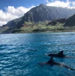 Cozy studio in welcoming Princeville with WiFi