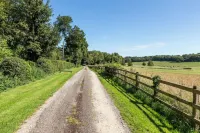 Tranquility, In grounds of Dower house on large country estate in the Candover's