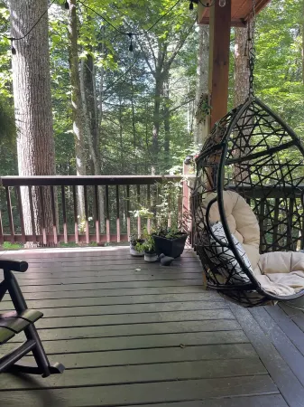 Classic Stylish Cabin in Cherry Log w/ Hot Tub, Fire Pit & Seclusion