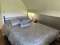 Cozy Hillside Cottage at Marble Falls - 5 miles from the upper Buffalo River.
