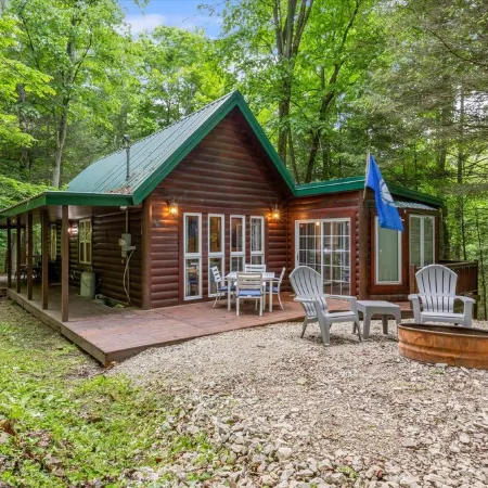 Fern Gulley Cabin with Hot Tub, Pet Friendly,  near DBBB / Hollerwood