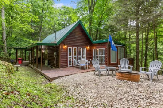 Fern Gulley Cabin with Hot Tub, Pet Friendly,  near DBBB / Hollerwood