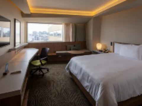 希爾頓花園酒店-利馬米拉弗洛雷斯 利馬酒店