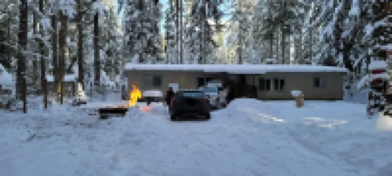 Penguin Cabin The Utmost Family Mt Rainier Getaway