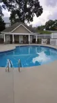 Believe N Dreams #317 – Your Peaceful Retreat in the Heart of Pigeon Forge