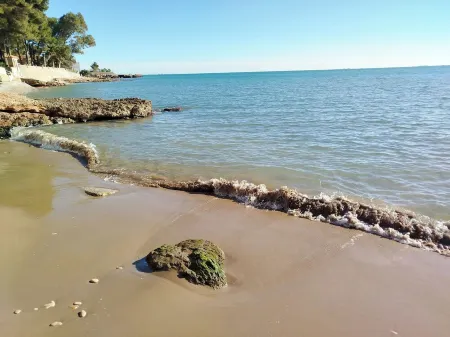 Deltabahia Sant Carles de la Ràpita