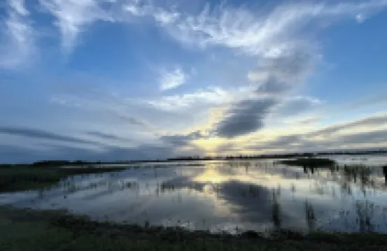 Cox's Cottage in the Hawkesbury Valley