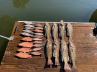 Tranquil Waterfront 3-2 Home; Great Year-Round Fishing, Outdoor Activities