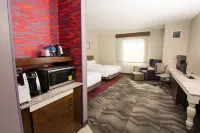 Hilton Garden Inn Tampa Suncoast Parkway Hotels in Keystone