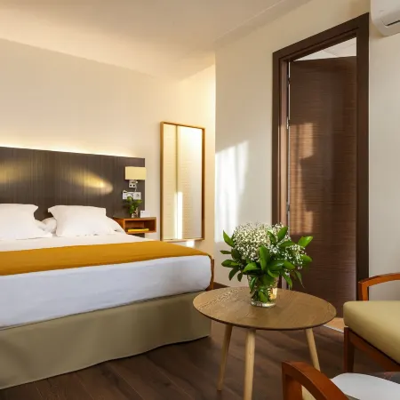 Hotel de Francia y París