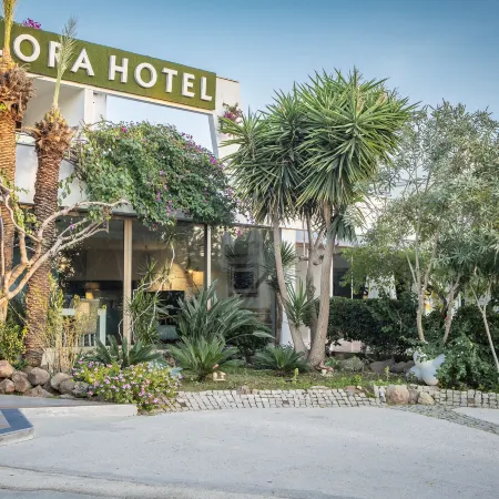 Flora Hotel Отели рядом с достопримечательностью «Ветряные мельницы Бодрума»