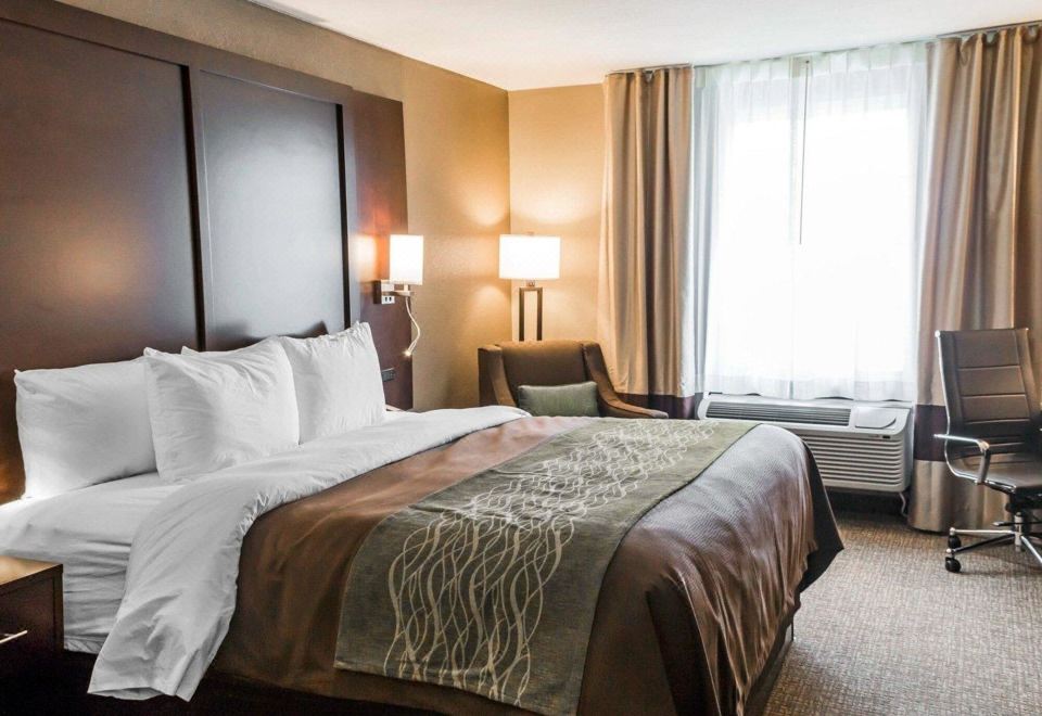Comfort Inn & Suites Pharr/McAllen - Housity