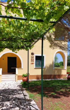 Sausan Apartments Отели в г. Agios Georgios