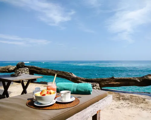 Rock'n Reef الترفيه والتسلية Photos