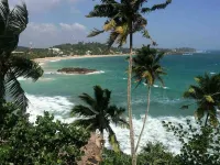 Palm Hill Guest House Hotels in Koattagoda