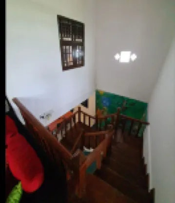 Ja-Elas French Touch 5