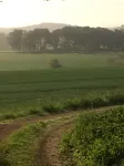 Swedish Idyll