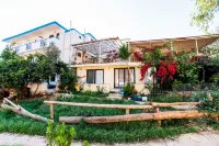 Eucalyptus Pension - balcony