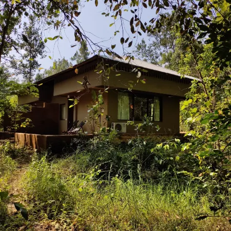 Saccharum Safari Lodge