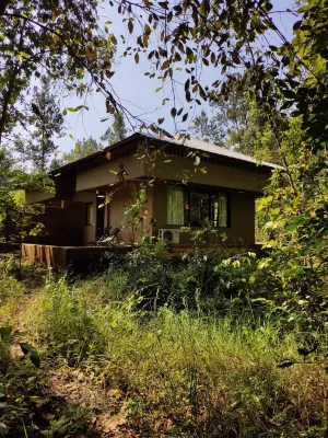 Saccharum Safari Lodge Hotel a 