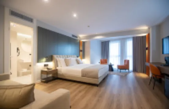 由Meliá附屬的廷拉那埃麗莎酒店 酒店