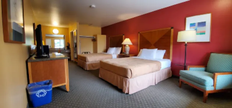 Olympic View Inn Hotel di 