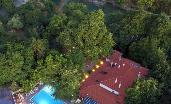 Aoos River Treehouse