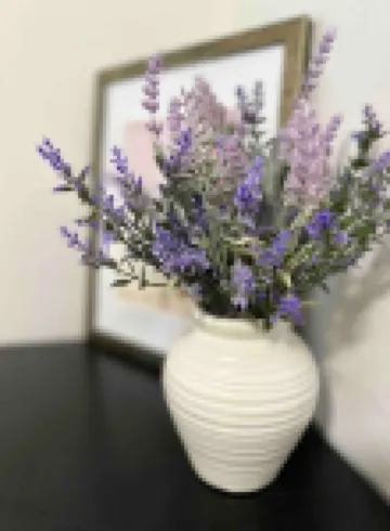 列治文舒適之地