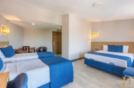 サファリ ホテル