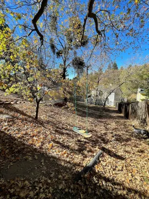 Bohemian Tree House Outdoor Spa & Deck Overlooking The Oak Trees! Hotels near Arrowbear Lake