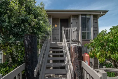 Expansive Harbor Views and Gourmet Kitchen - Serene Coastal Retreat