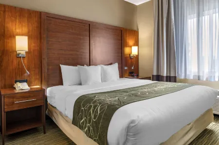 Comfort Suites North Отели в г. Онтва Тауншип